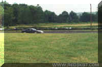 Click here to make this picture larger.