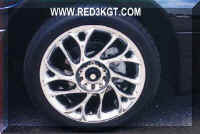 Click here to make this picture larger.