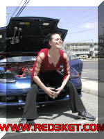 Click here to make this picture larger